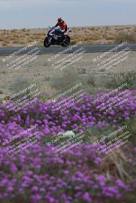 media/Jan-14-2023-SoCal Trackdays (Sat) [[497694156f]]/Turn 14 Exit Bloomig (145pm)/
